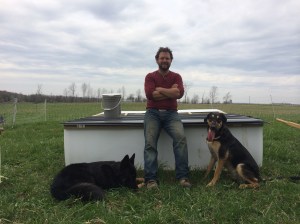 Quinn has built the chicken mobiles and set up solar powered fencing to protect chickens from weather & predators